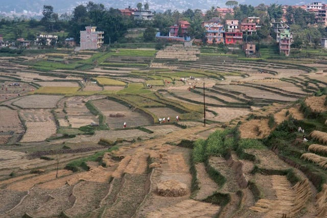 Strategi Water Management Lahan Gambut untuk Produktivitas