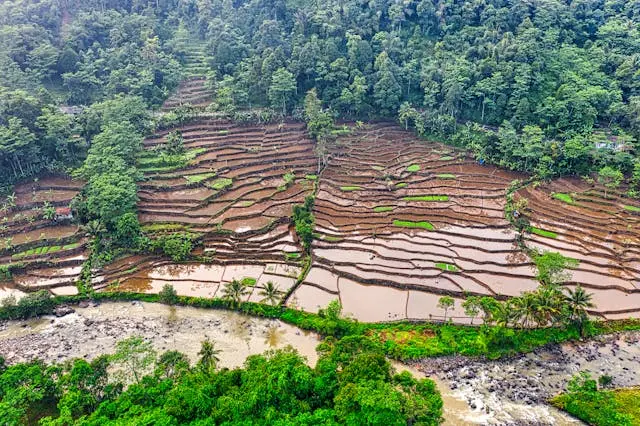 Faktor Kunci Keberhasilan Pengelolaan Air Gambut