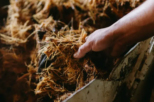 Membuat Bioetanol Generasi Kedua dari Limbah Biomassa Lokal