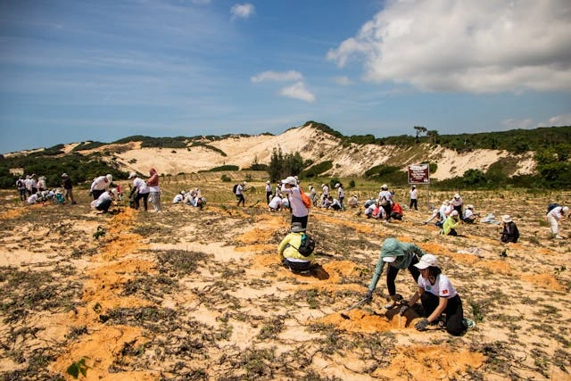 Revegetasi Pasca Tambang untuk Keberlanjutan Alam